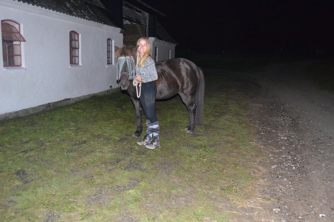 Islænder Röskva [Tidl. part] - September 2014 billede 14