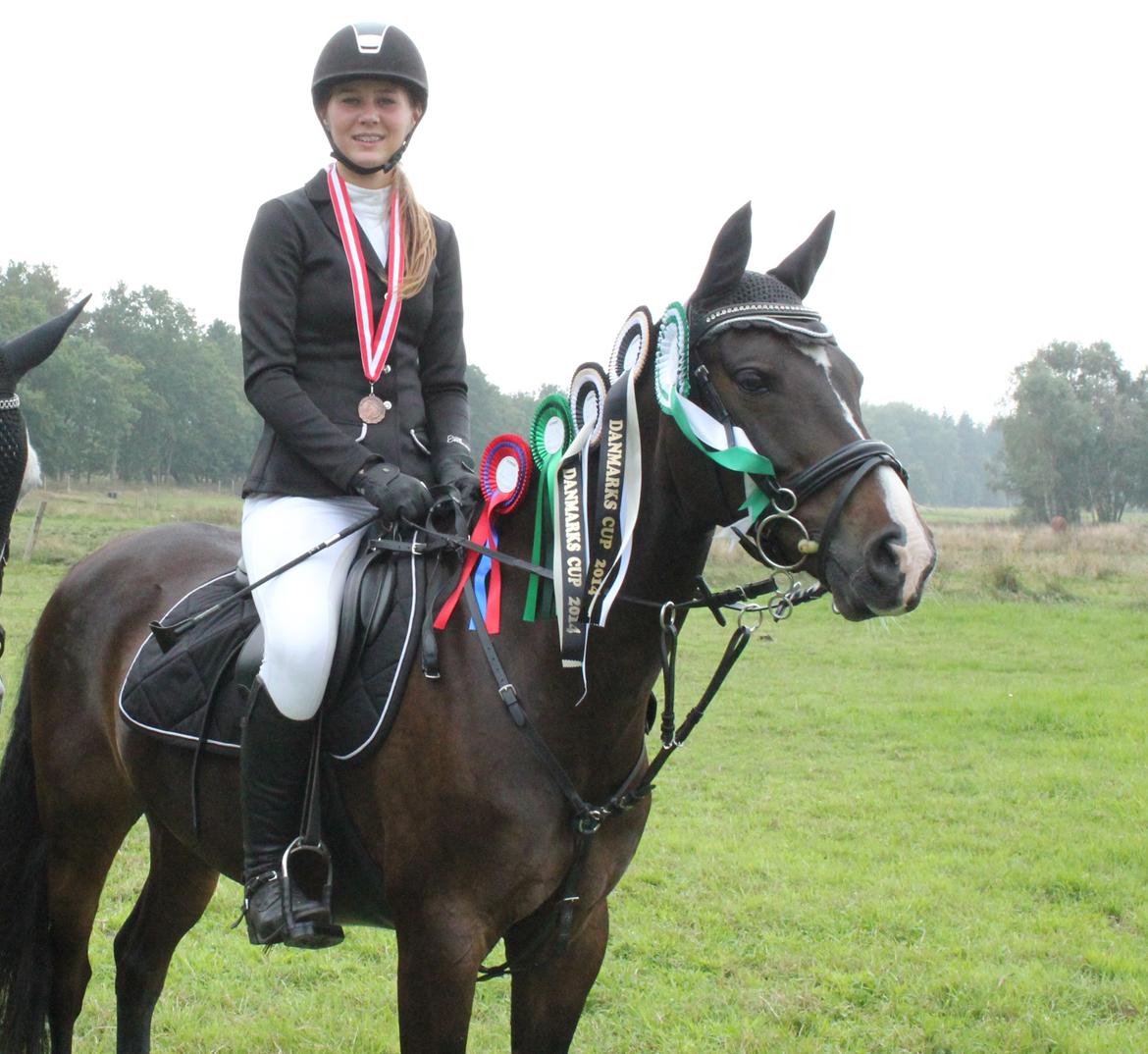 DSP Sebastian B-pony  - STJERNE 1 bom i 6 klasser og BRONZE i DK cup 2014 billede 18