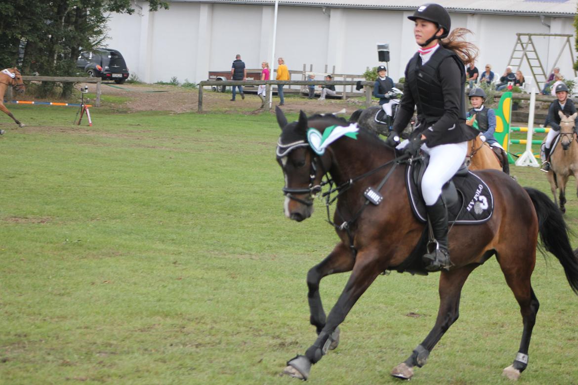 DSP Sebastian B-pony  - Bronze i DK cup 2014 billede 19