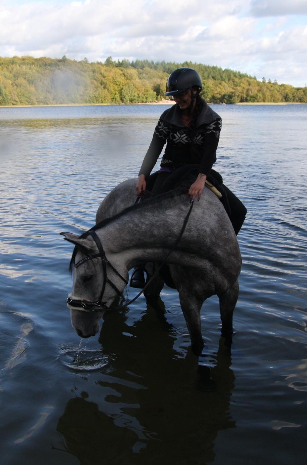 Dansk Varmblod Lotus Esprit W *SOLGT* - Tusses første tur i søen <3 billede 36