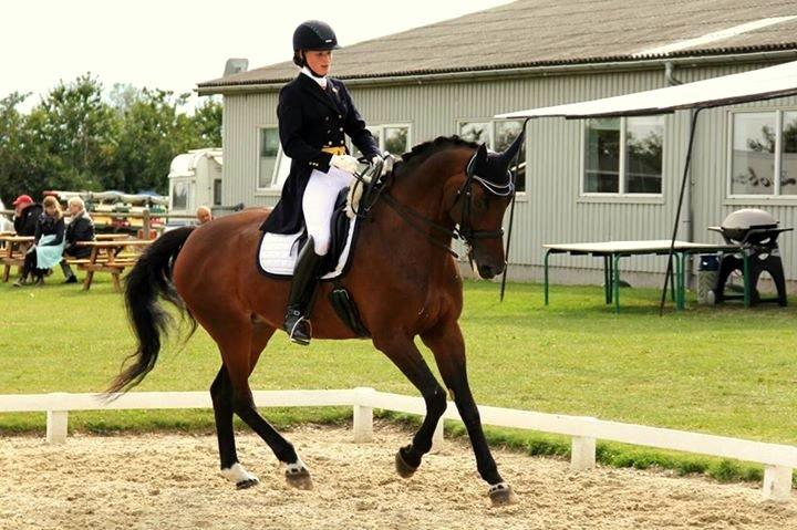 Dansk Varmblod Corina (Steffie) billede 19