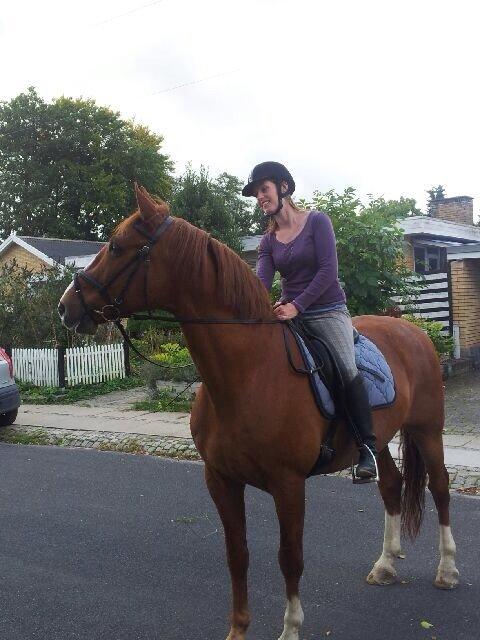 Frederiksborg Baron Skingelsbjerg billede 1