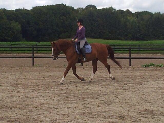 Frederiksborg Baron Skingelsbjerg billede 4