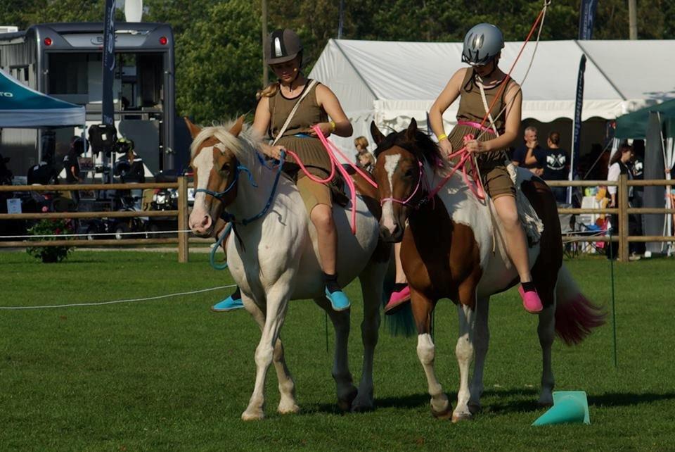 Pinto Lavida billede 17