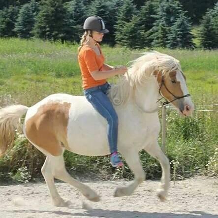 Pinto Lavida billede 21