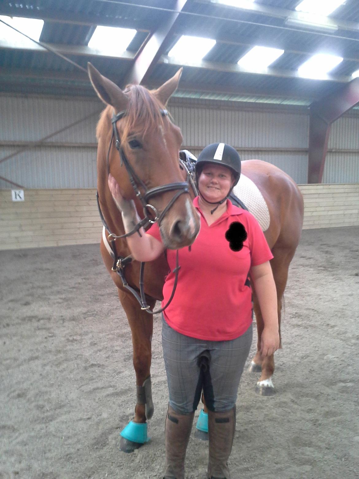 Dansk Varmblod libaks conquest billede 5