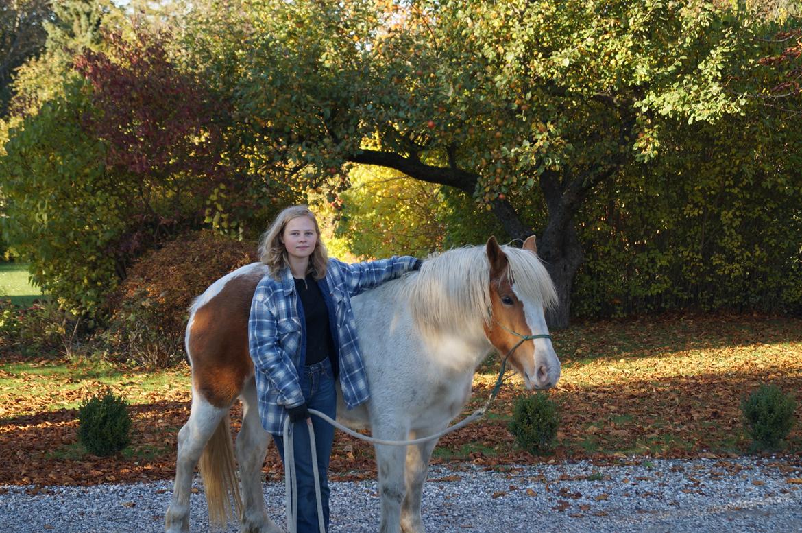 Pinto Lavida billede 22