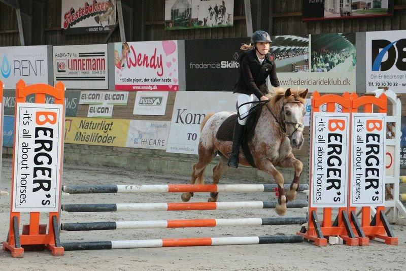 Anden særlig race Jolly Jumper billede 5