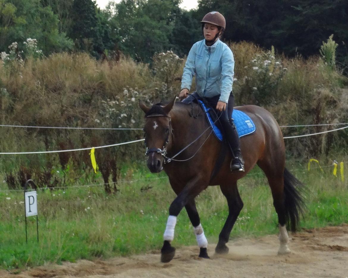 Oldenborg Brusgårds Maricca billede 4