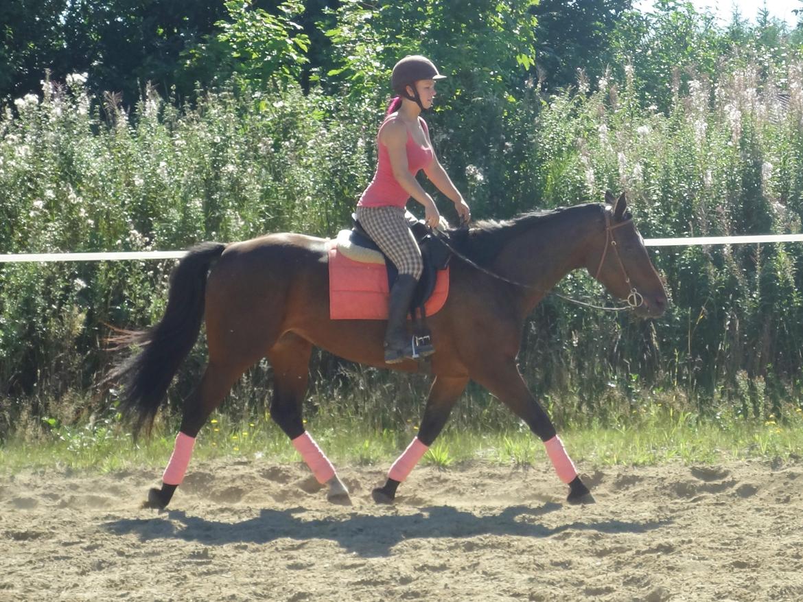 Oldenborg Brusgårds Maricca billede 2