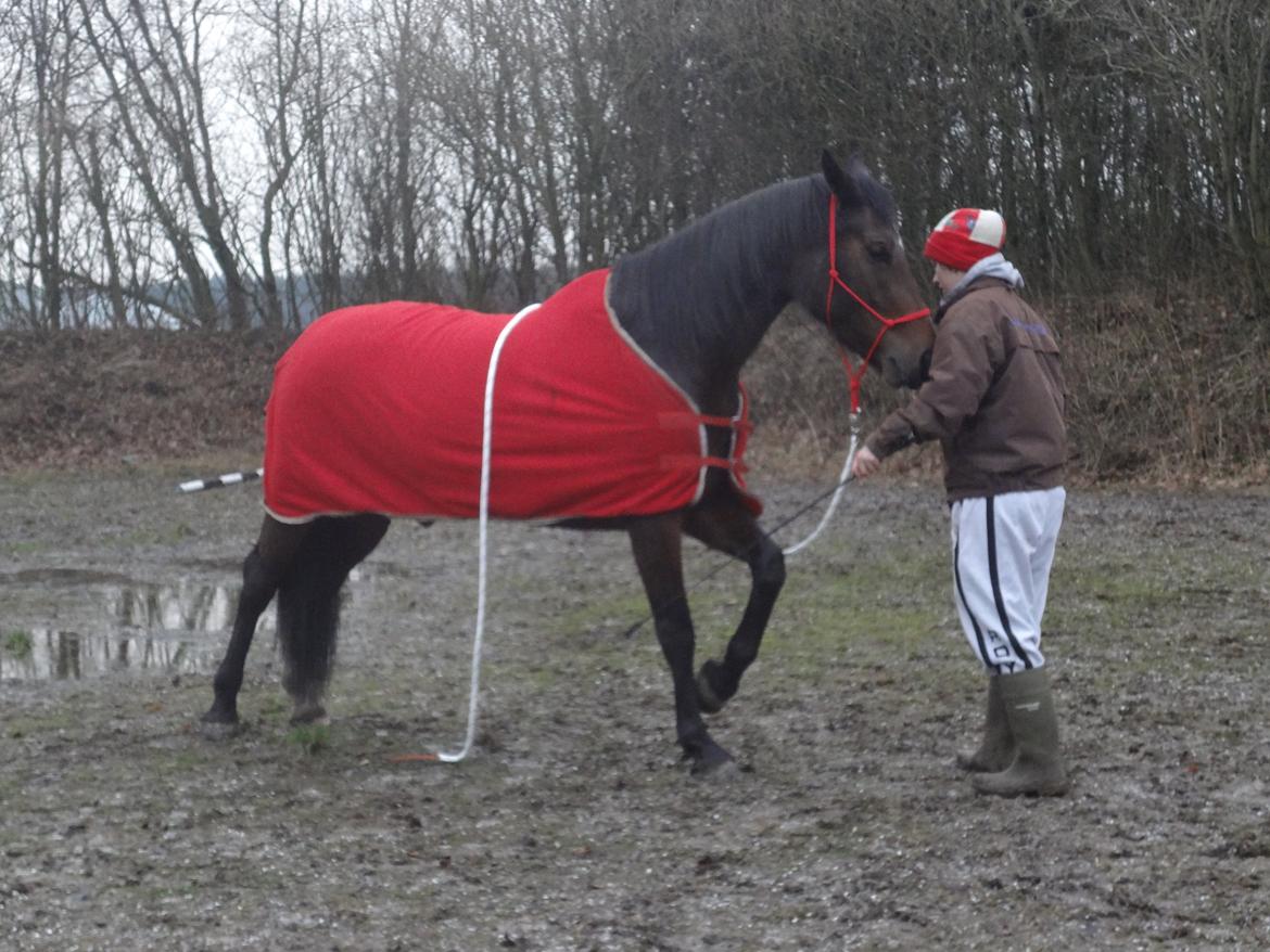 Oldenborg Brusgårds Maricca billede 9