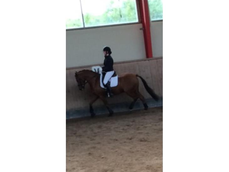 {{currentPhoto.altText}} billede {{currentPhoto.number}}