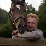 Dansk Varmblod (Himmelhest) EQUESTRE CADO DV 803