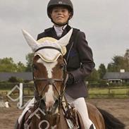 Anden særlig race Sky