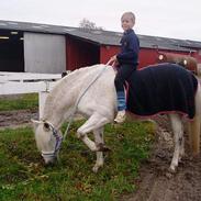 Anden særlig race OLIVER