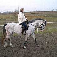 Anden særlig race Chilla