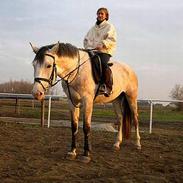 Anden særlig race Chilla