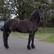 Frieser Wiktor von Ingermarien.