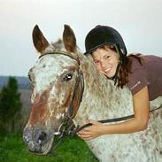 Knabstrupper Cassiopeia