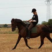 Traver Bakkepigen Tøsen *SOLGT*