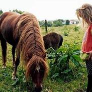 Dartmoor Flowering Lady