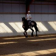 Frieser payter van de langeberg