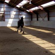 Frieser payter van de langeberg