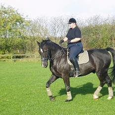 Oldenborg Bismark