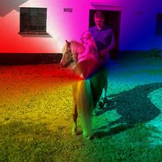 Anden særlig race Stebbi