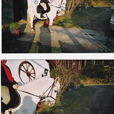 Connemara College boy/ †aflivet†