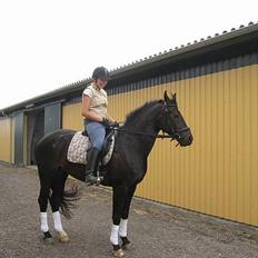 Anden særlig race Miss Kicki