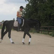 Anden særlig race Miss Kicki