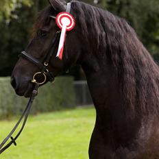 Frieser Maike Rozalien J.