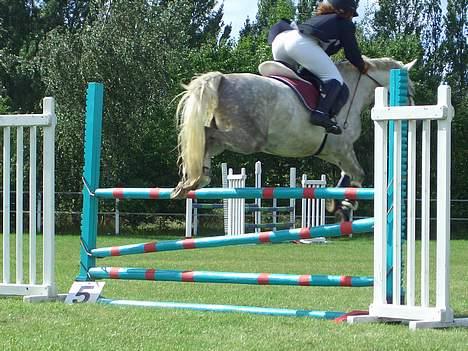 Anden særlig race Shadow - LA, Bornholmsmesterskaberne;p billede 2