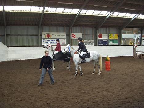 Anden særlig race Shadow - 2. plads i LA... billede 4