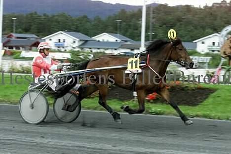 Koldblodstraver Henfiksa - Her er ho i varming på bergen! Ikkje en fot i banen=) Tatt i 2001! billede 6