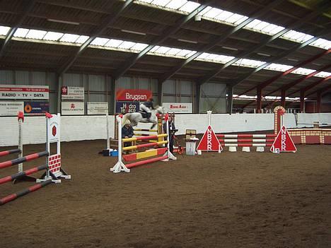 Anden særlig race Shadow - LB.... billede 7