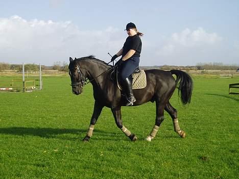 Oldenborg Bismark - Bismark billede 1