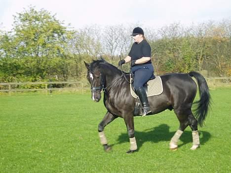 Oldenborg Bismark - Bismark billede 2