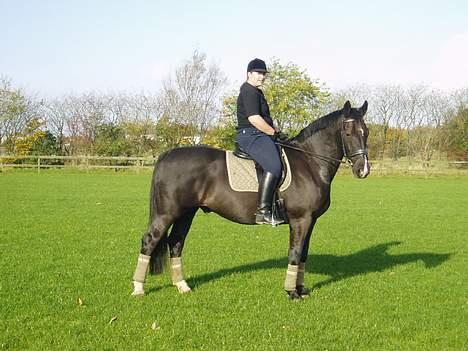 Oldenborg Bismark - Bismark billede 3