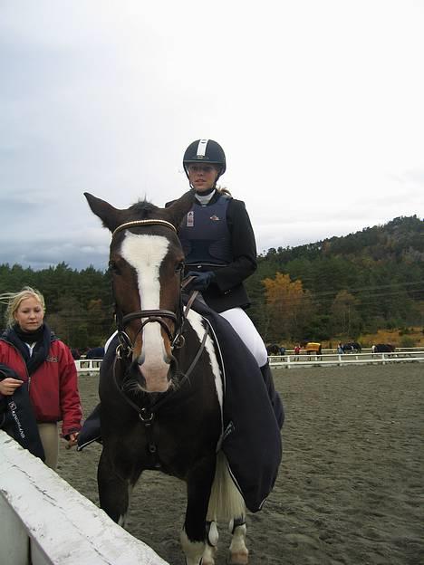 Anden særlig race Indiana "Bob" (solgt) - Meg og Bob på stevne, med god hjelp av Ane.  billede 8