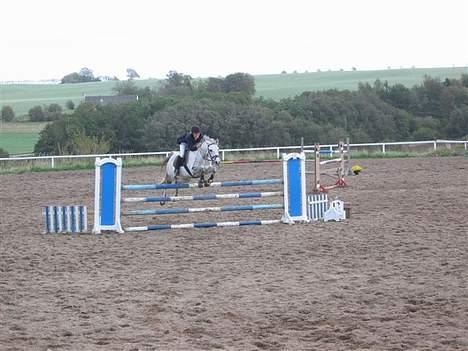 Anden særlig race Kærvangs Unique  - og igen... billede 7