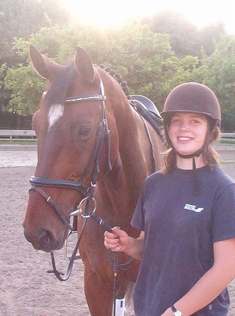 Hannoveraner Aktiv Igen (DØD) - mig og aktiv på en dejlig sommeraften. 2004 billede 1