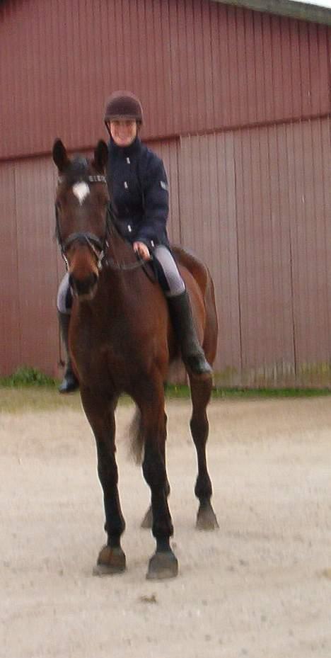 Hannoveraner Aktiv Igen (DØD) - kæmpe aktiv og mig billede 4