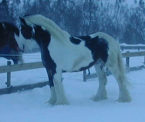 Tinker Gordon - Gordon<3 billede 1