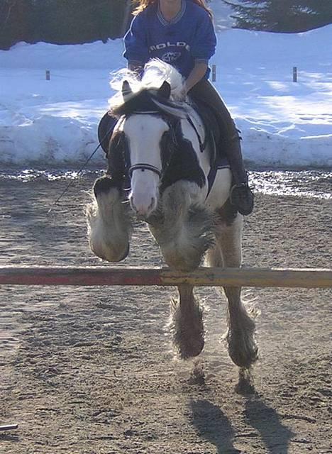 Tinker Gordon billede 2