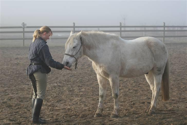 New Forest Nero - Jeg elsker dig Nero<3 billede 2