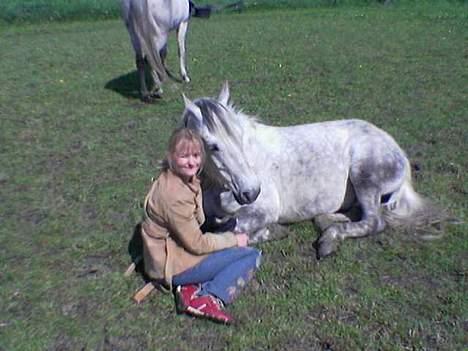 New Forest Nero - åhh mor jeg er så træt...må jeg ikke bare sove billede 3