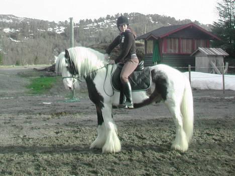 Tinker Gordon billede 5