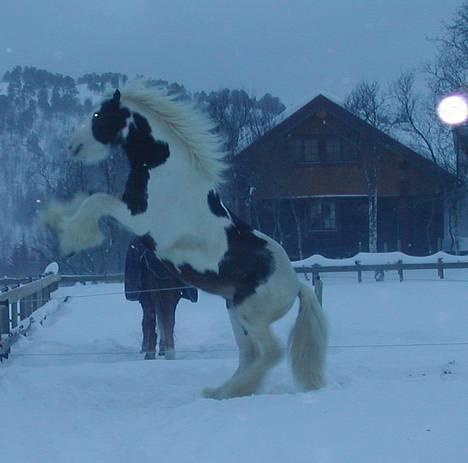 Tinker Gordon billede 6